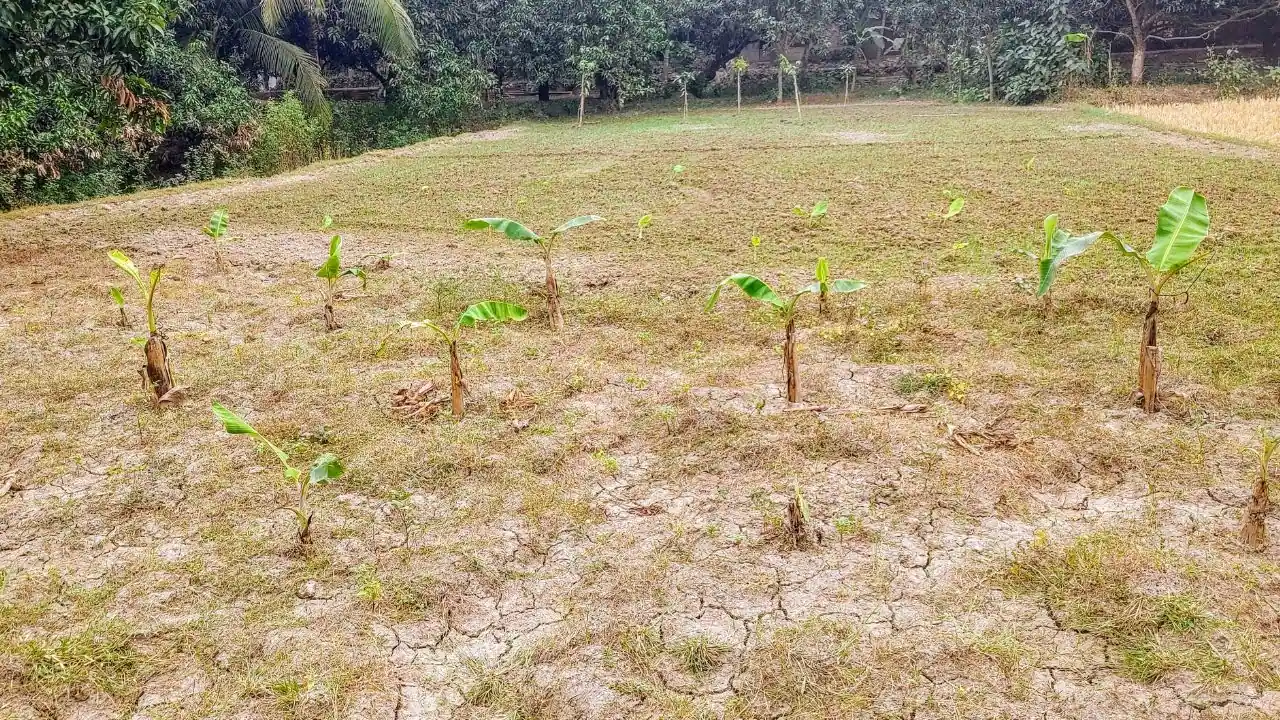 গ্রীষ্মকাল